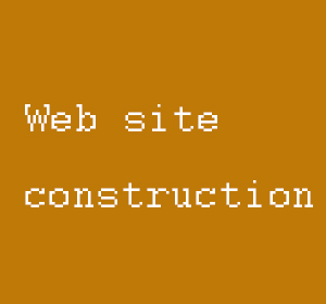 Web Site